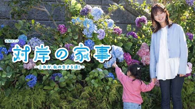 対岸の家事〜これが、私の生きる道！