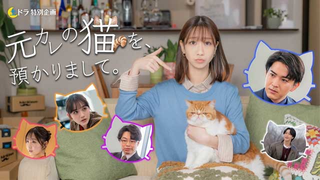 元カレの猫を、預かりまして。